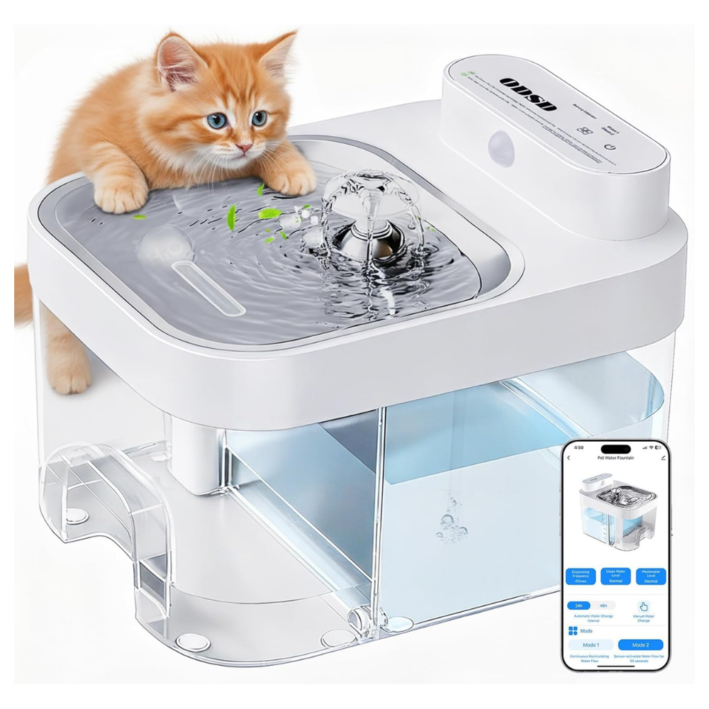 Cat Drinking Water Fountain