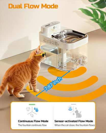 Cat Drinking Water Fountain